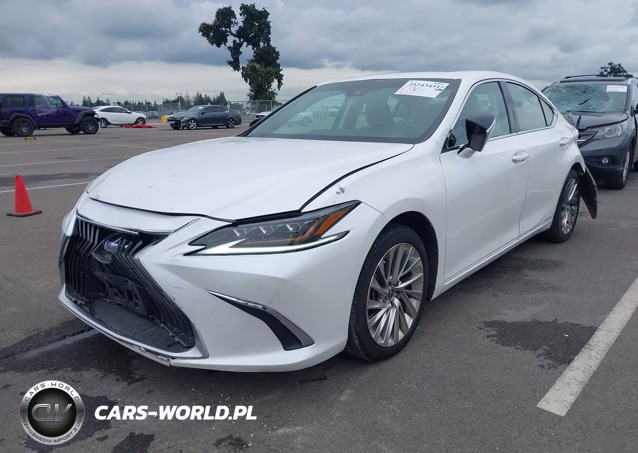 2021 Lexus Es 300H Luxury VIN:58AEA1C1XMU009143 - 2