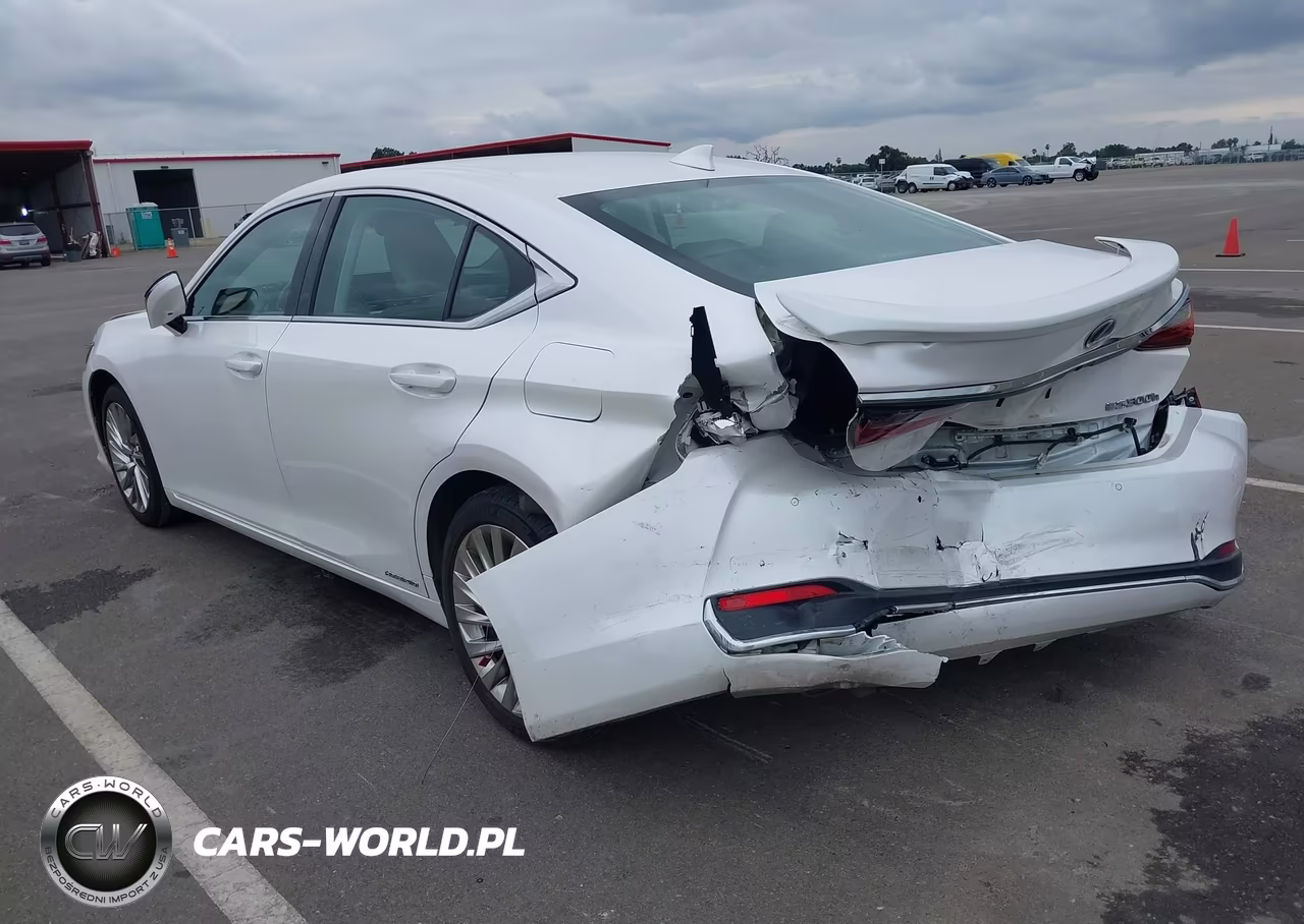2021 Lexus Es 300H Luxury VIN:58AEA1C1XMU009143 - 3
