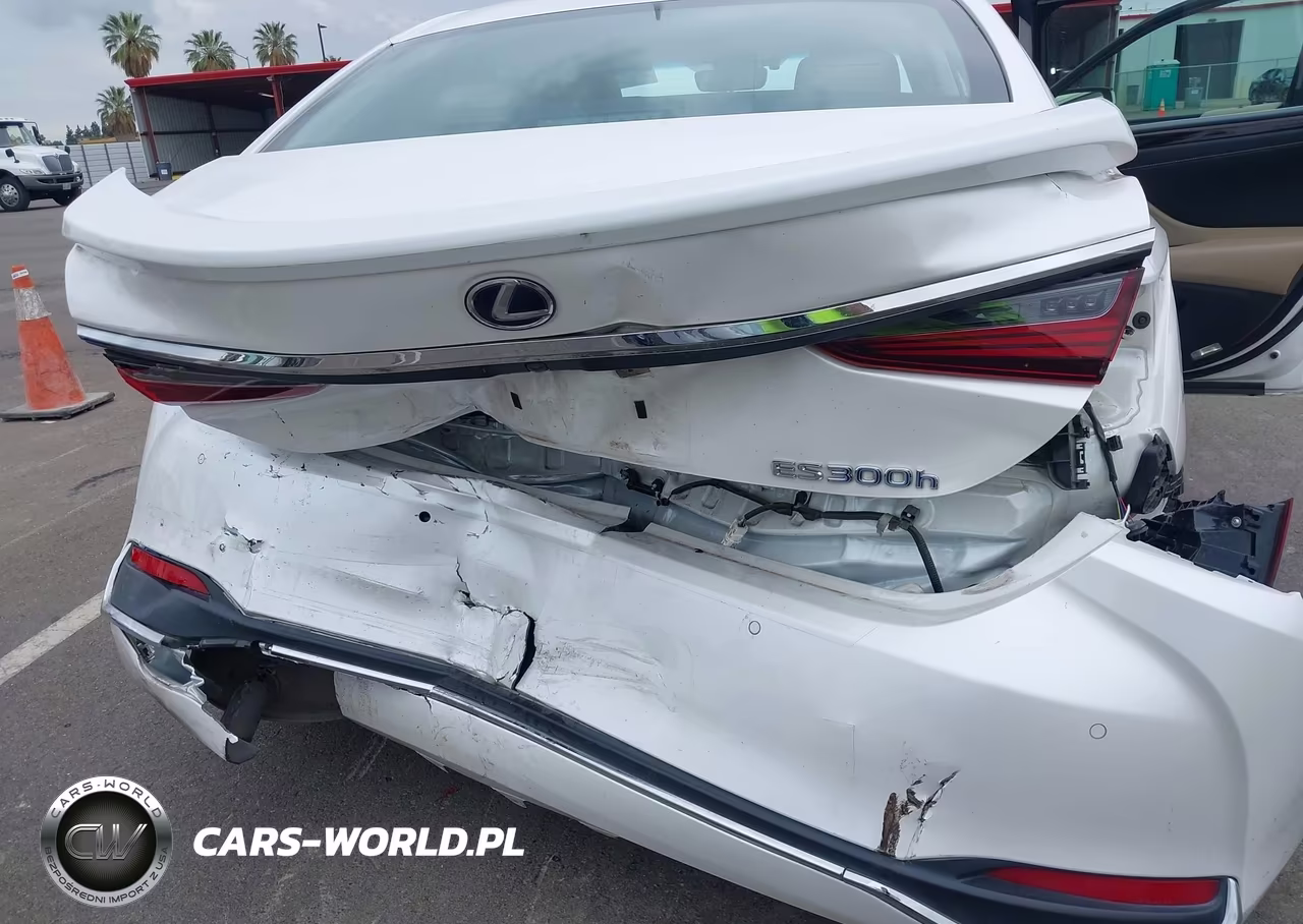 2021 Lexus Es 300H Luxury VIN:58AEA1C1XMU009143 - 6