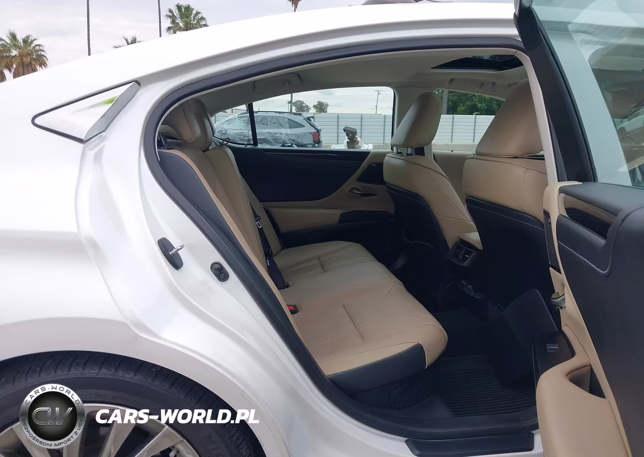2021 Lexus Es 300H Luxury VIN:58AEA1C1XMU009143 - 8