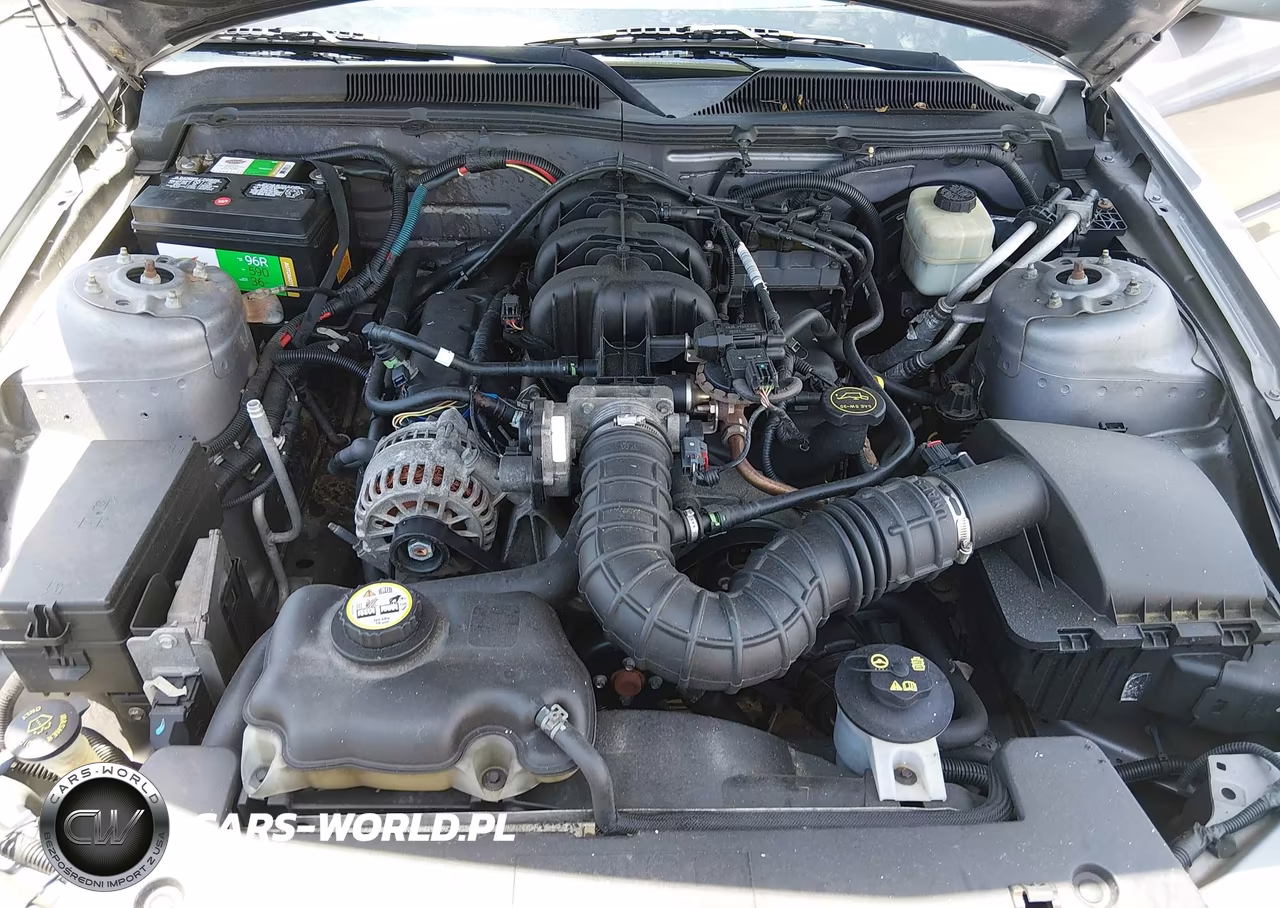2007 Ford Mustang V6 Deluxe-V6 Premium VIN:1ZVFT80N975218153 - 10