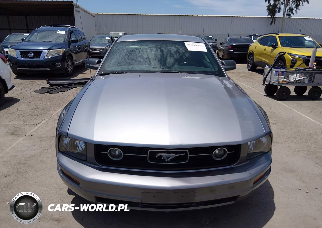 2007 Ford Mustang V6 Deluxe-V6 Premium VIN:1ZVFT80N975218153 - 12