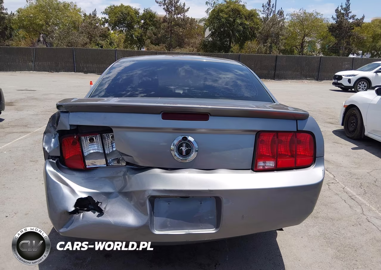 2007 Ford Mustang V6 Deluxe-V6 Premium VIN:1ZVFT80N975218153 - 16