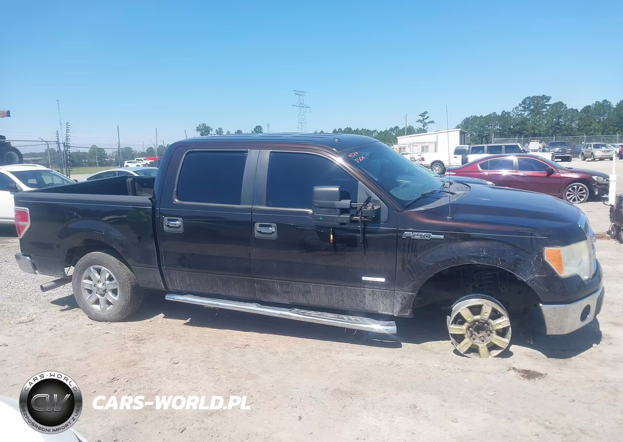 2013 Ford F-150 Xlt VIN:1FTFW1CT4DFB16423 - 13