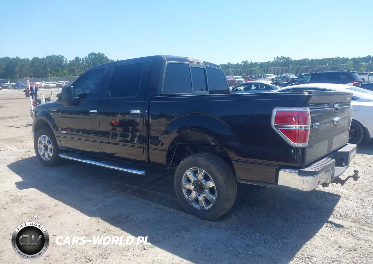 2013 Ford F-150 Xlt VIN:1FTFW1CT4DFB16423 - 14