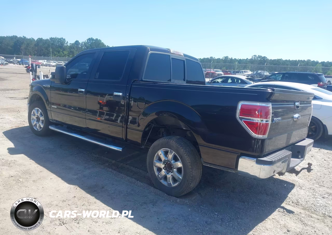 2013 Ford F-150 Xlt VIN:1FTFW1CT4DFB16423 - 3