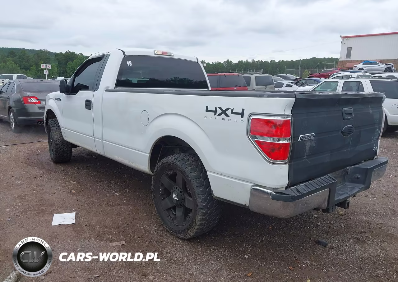 2010 Ford F-150 Stx-Xl-Xlt VIN:1FTMF1CWXAKE27276 - 3