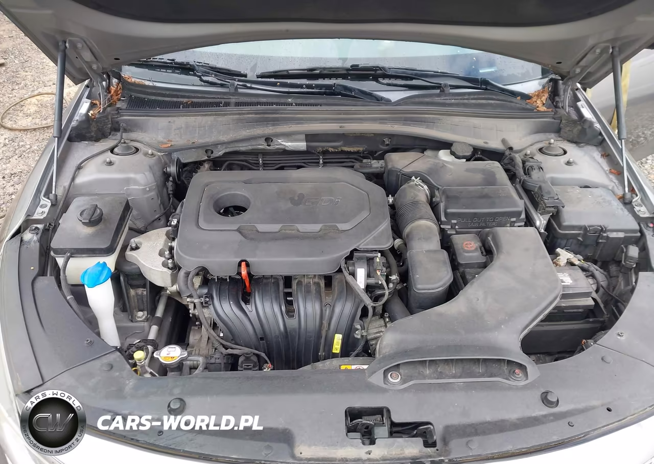 KIA OPTIMA VIN:5XXGT4L36GG083123 - 10