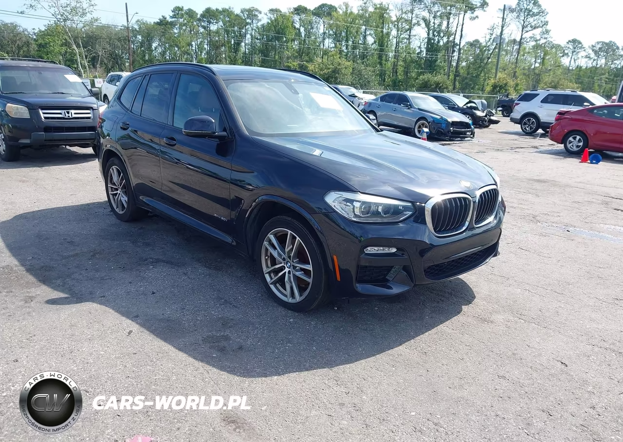 2018 BMW X3 xDrive30I – zdjęcie 1 z 16