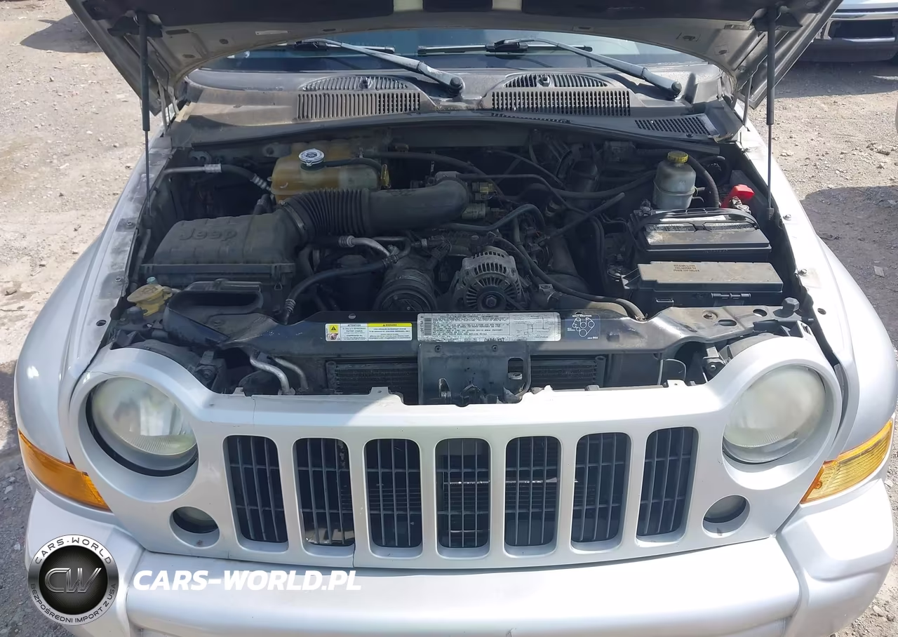 2006 Jeep Liberty Sport VIN:1J4GK48K86W221691 - 10