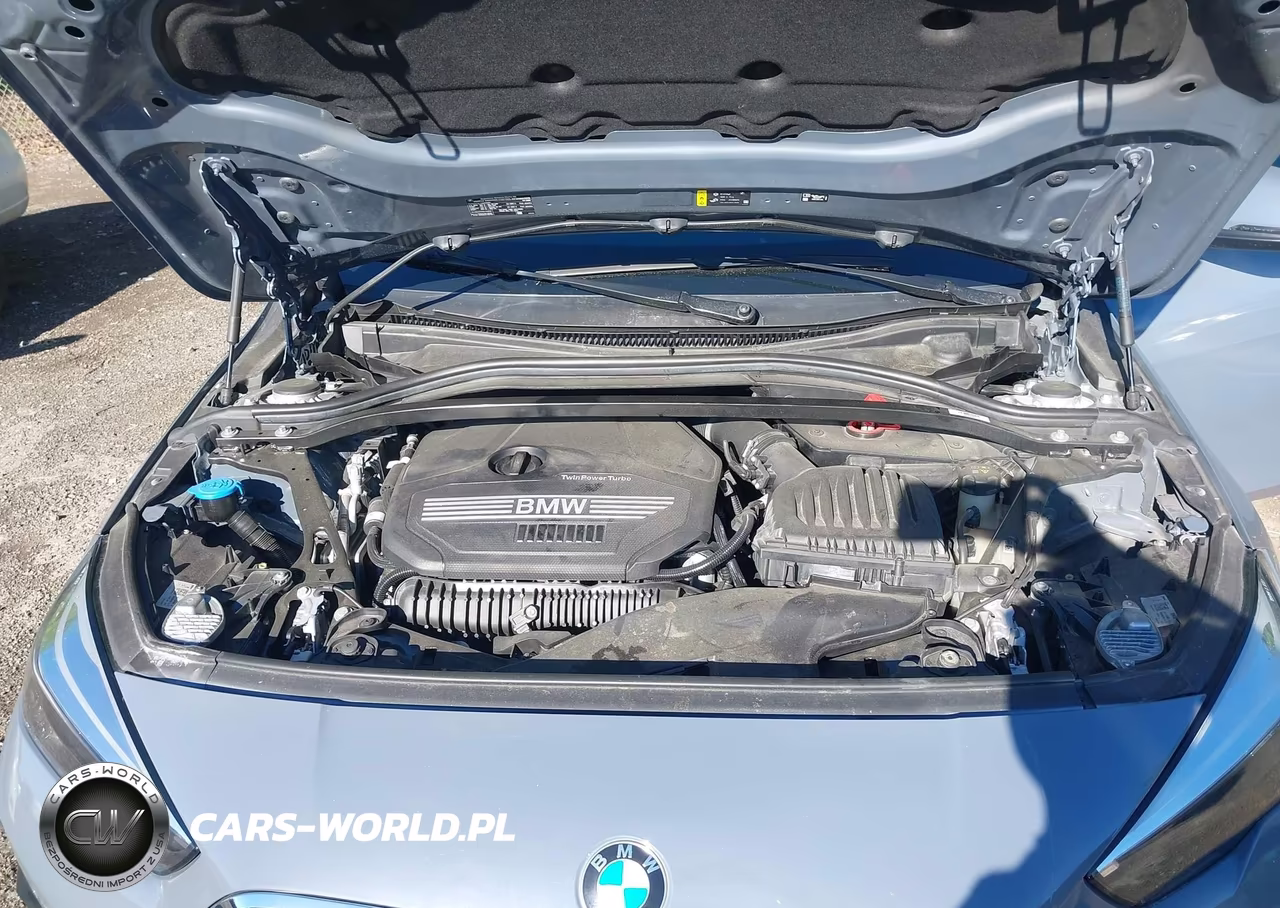 2022 BMW 228 Gran Coupe I Sdrive VIN:WBA53AK08N7L08321 - 10