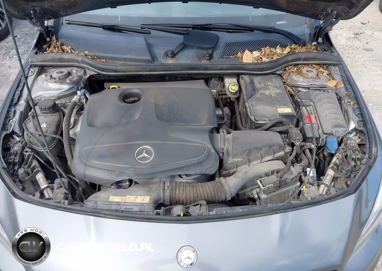 2015 Mercedes-Benz Cla 250 VIN:WDDSJ4EBXFN170441 - 10