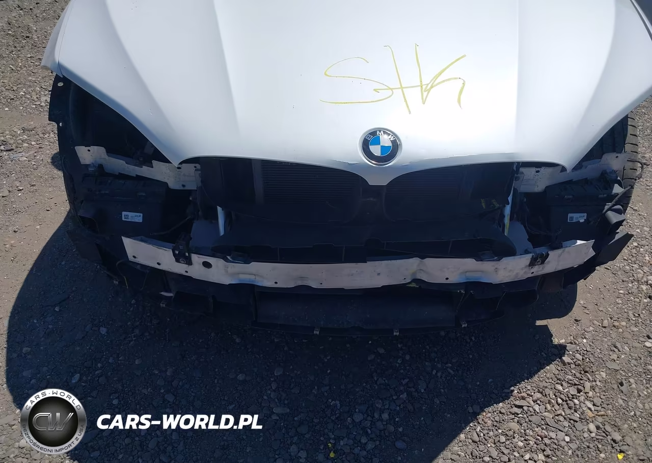 2017 BMW X6 M VIN:5YMKW8C39H0U72048 - 10