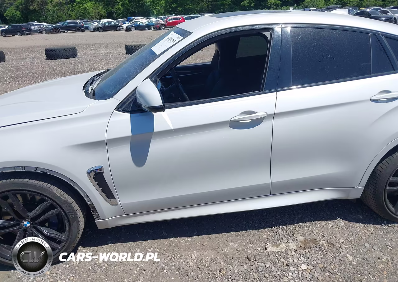 2017 BMW X6 M VIN:5YMKW8C39H0U72048 - 14