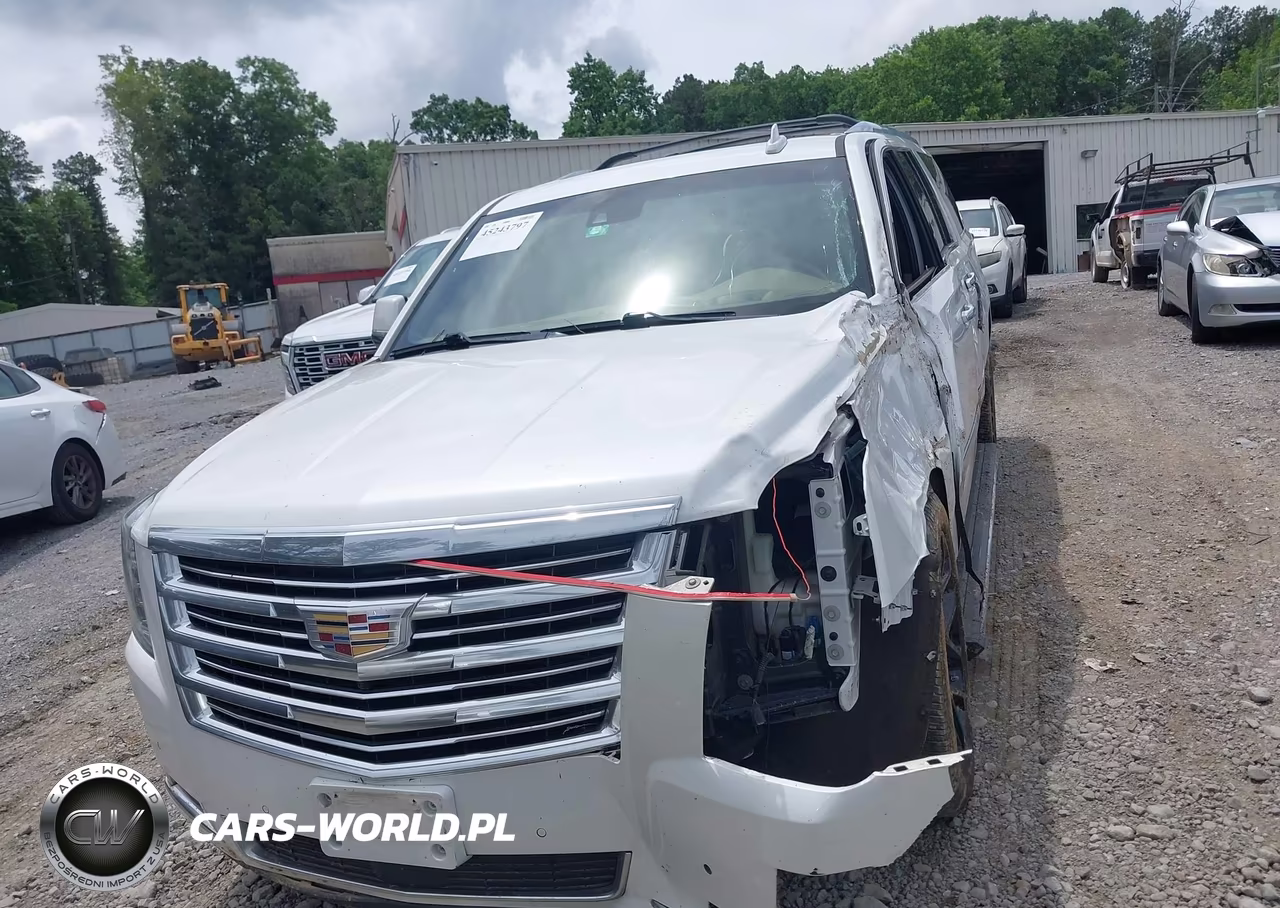 2018 Cadillac Escalade Esv Platinum VIN:1GYS4KKJ6JR307372 - 12