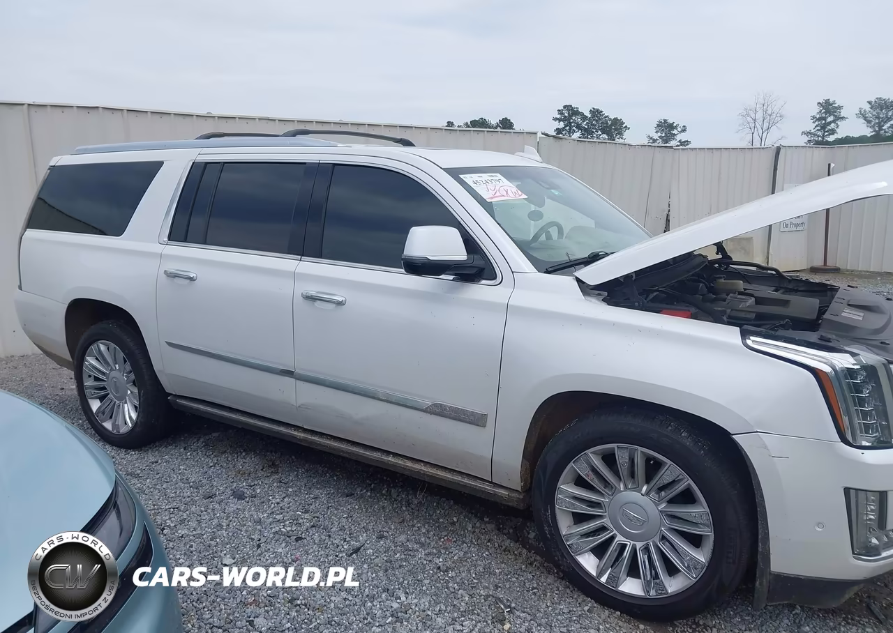 2018 Cadillac Escalade Esv Platinum VIN:1GYS4KKJ6JR307372 - 13