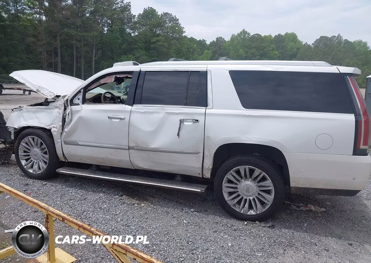 2018 Cadillac Escalade Esv Platinum VIN:1GYS4KKJ6JR307372 - 14