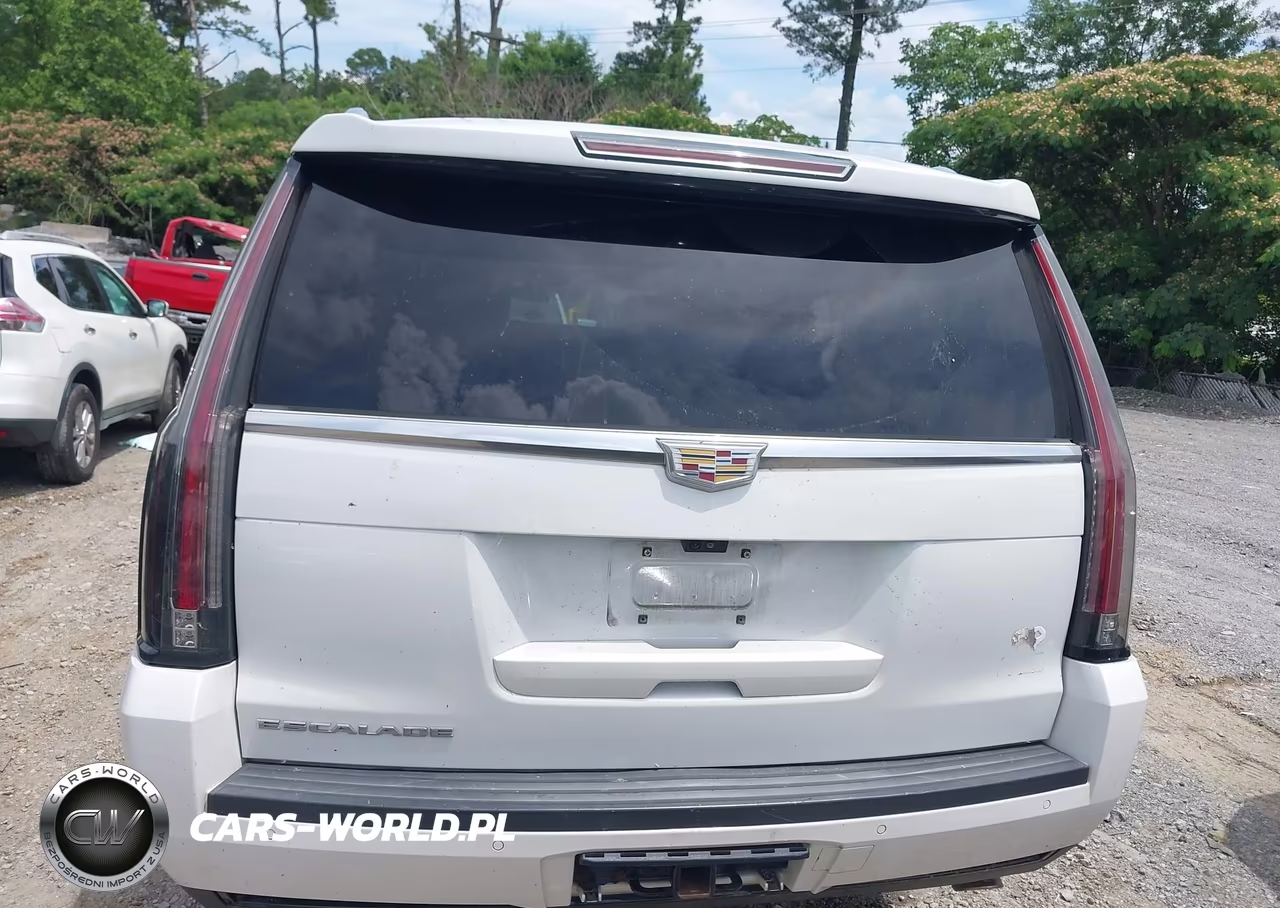2018 Cadillac Escalade Esv Platinum VIN:1GYS4KKJ6JR307372 - 16