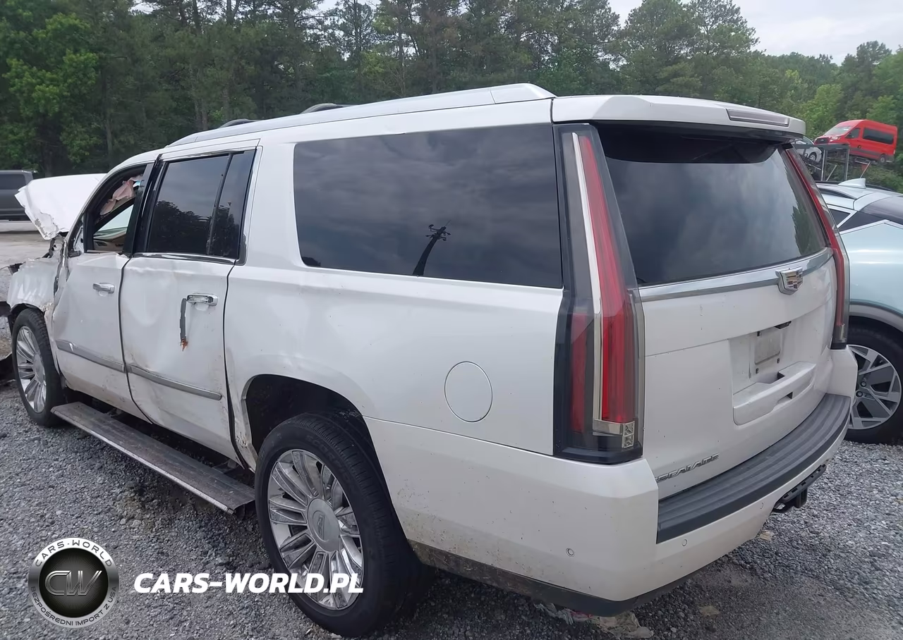 2018 Cadillac Escalade Esv Platinum VIN:1GYS4KKJ6JR307372 - 3