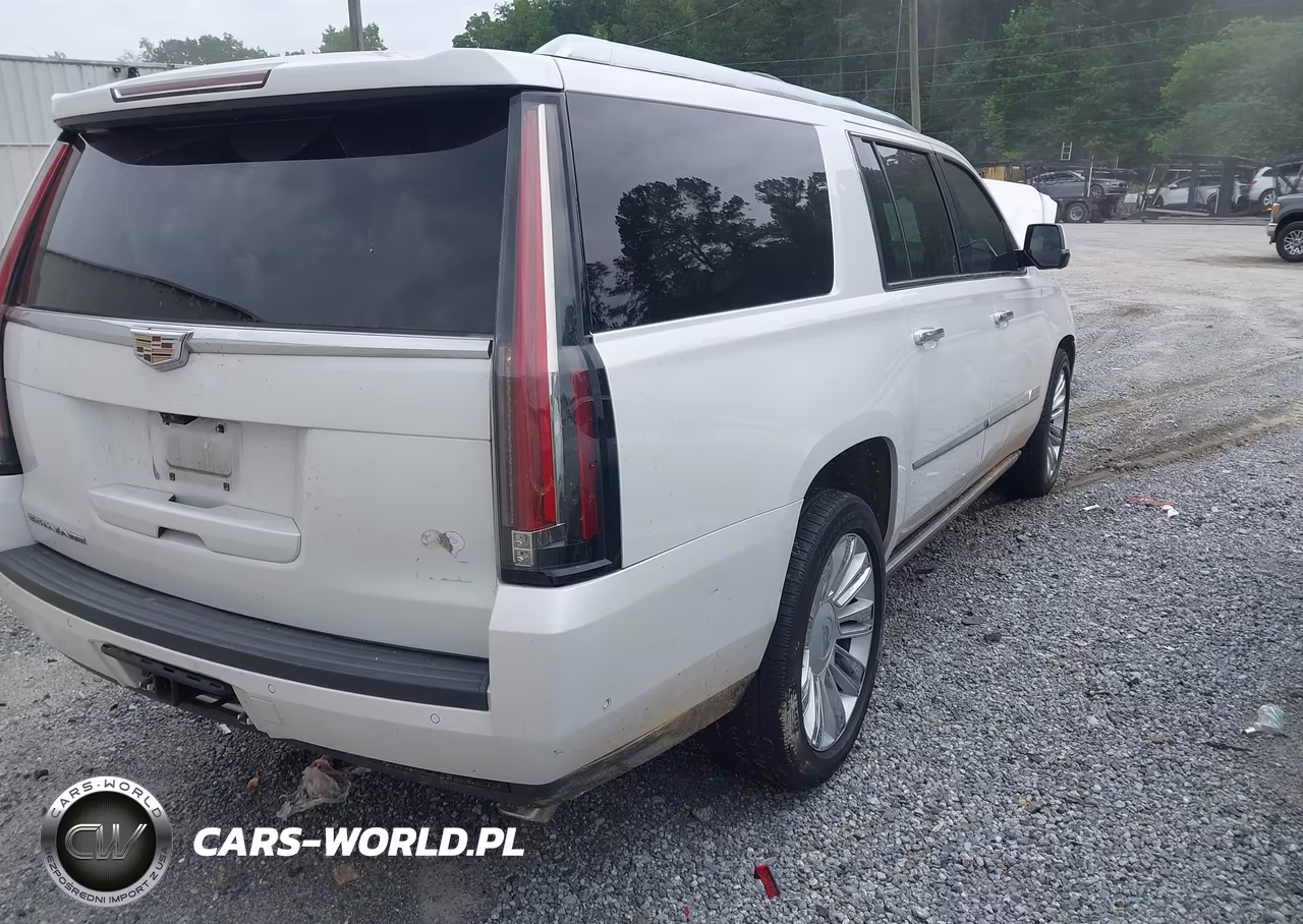 2018 Cadillac Escalade Esv Platinum VIN:1GYS4KKJ6JR307372 - 4