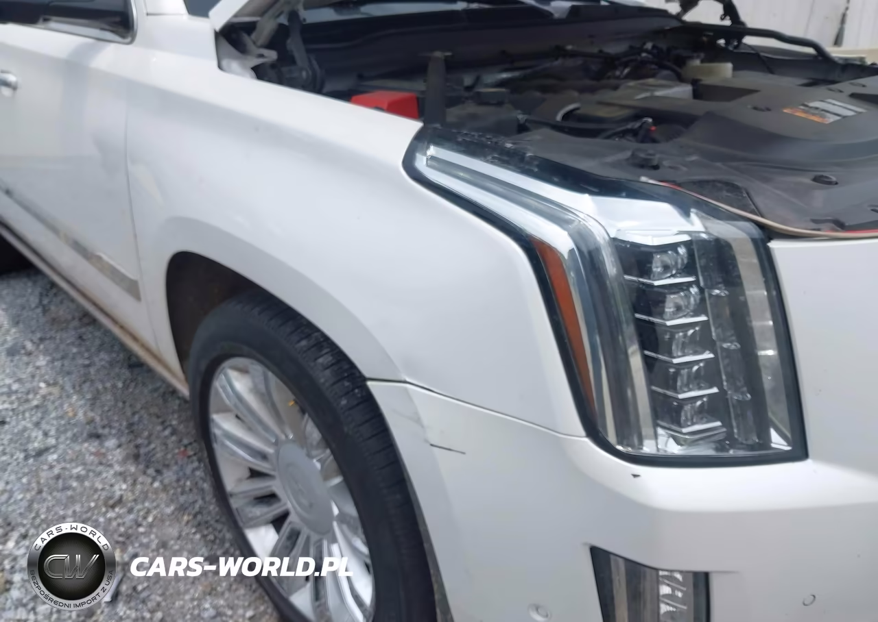 2018 Cadillac Escalade Esv Platinum VIN:1GYS4KKJ6JR307372 - 6