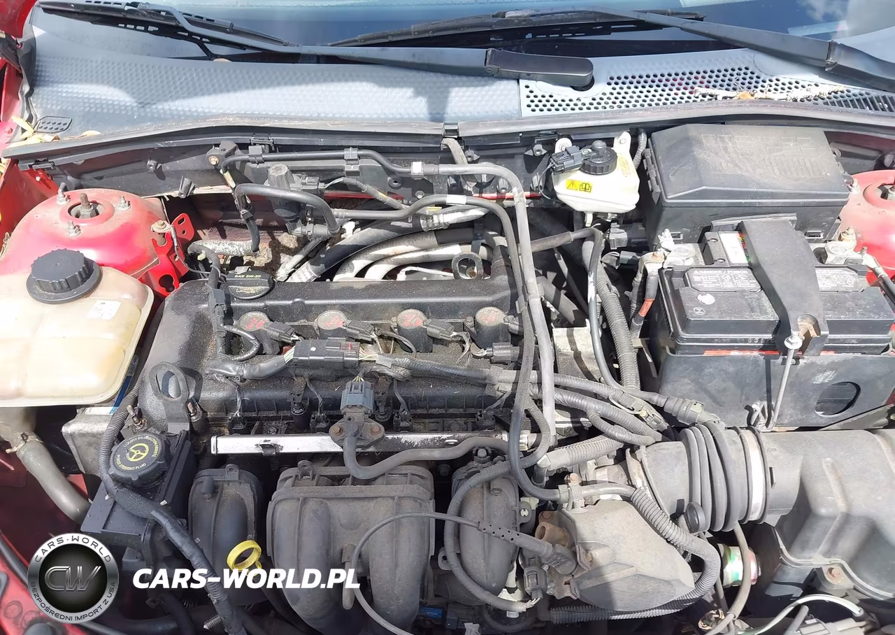 2006 Ford Focus Zx4 VIN:1FAHP34N76W229857 - 10