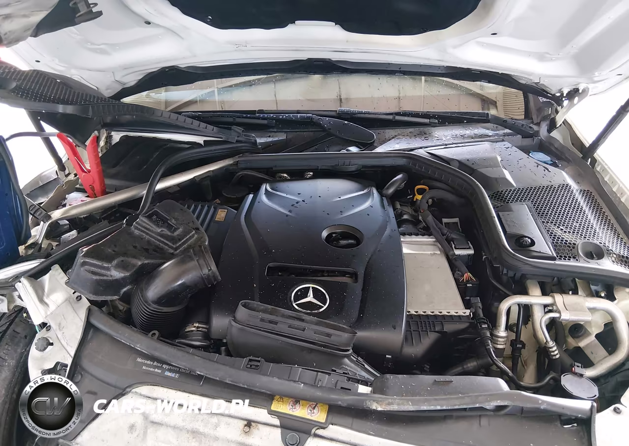 2016 Mercedes-Benz C 300 VIN:55SWF4JB0GU131651 - 10