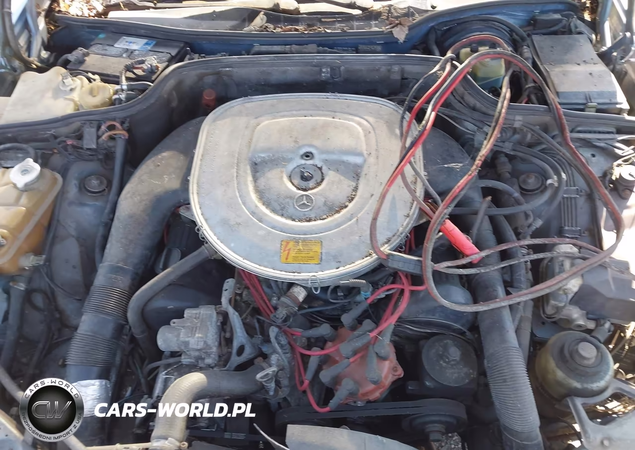 1988 Mercedes-Benz 560 Sel VIN:WDBCA39D2JA398744 - 10