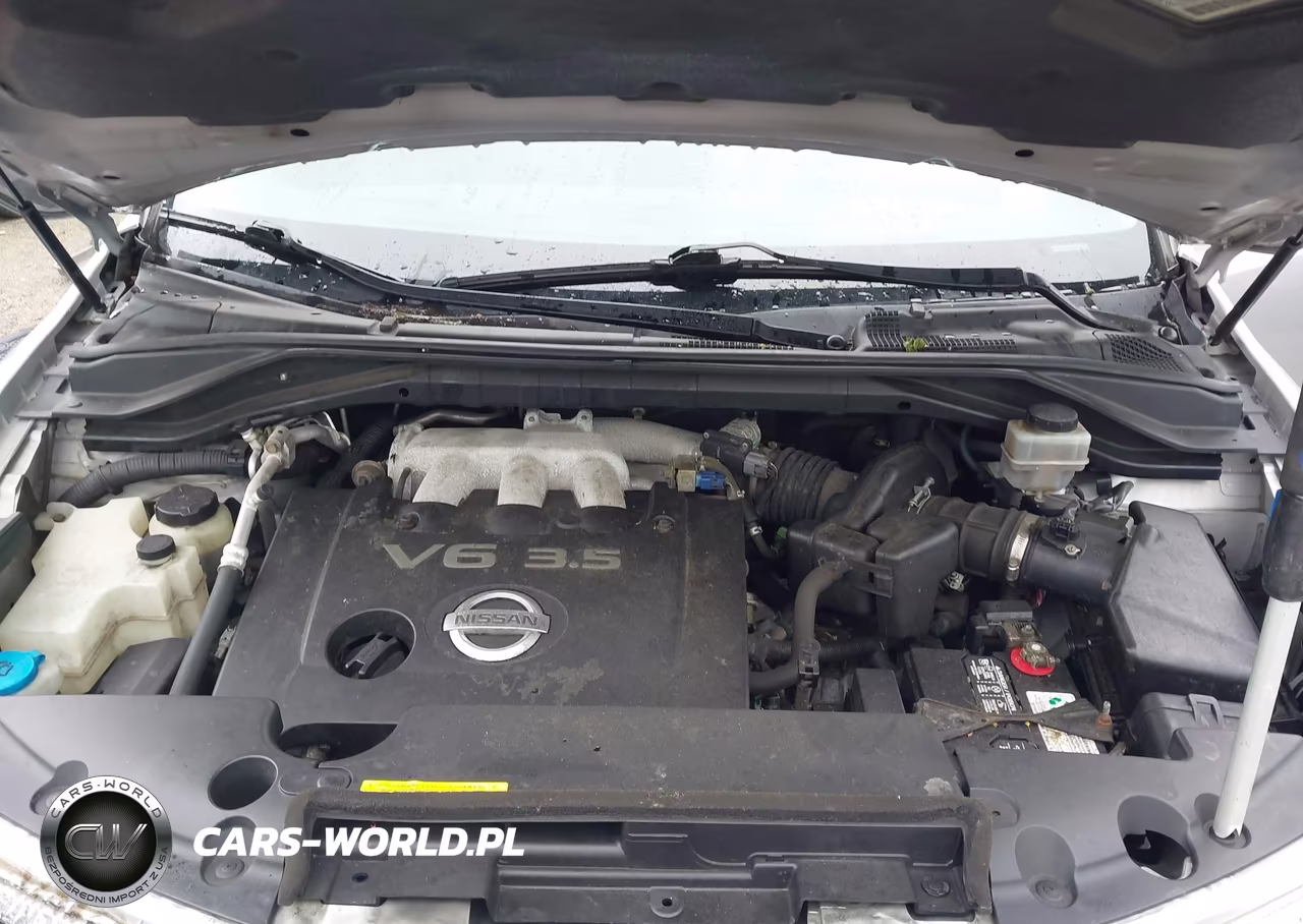2004 Nissan Murano Sl VIN:JN8AZ08W74W307658 - 10