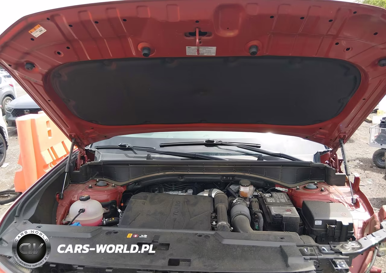 2024 Hyundai Santa Fe Calligraphy VIN:5NMP54GLXRH045399 - 10