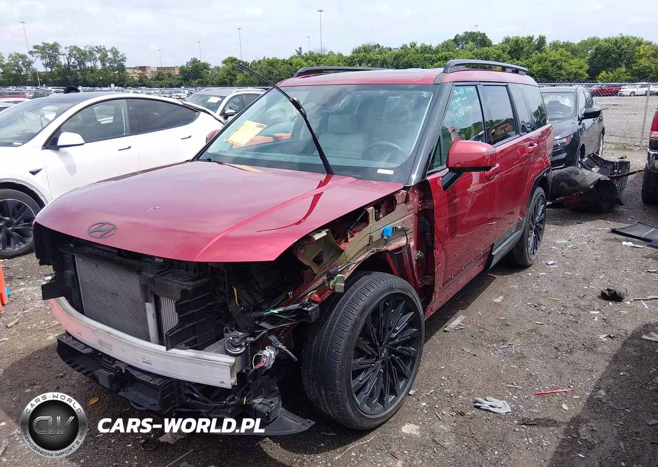 2024 Hyundai Santa Fe Calligraphy VIN:5NMP54GLXRH045399 - 2