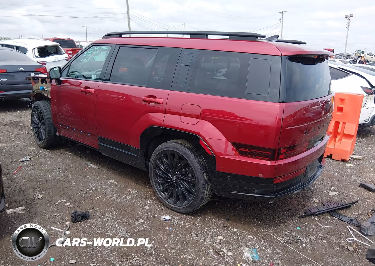 2024 Hyundai Santa Fe Calligraphy VIN:5NMP54GLXRH045399 - 3
