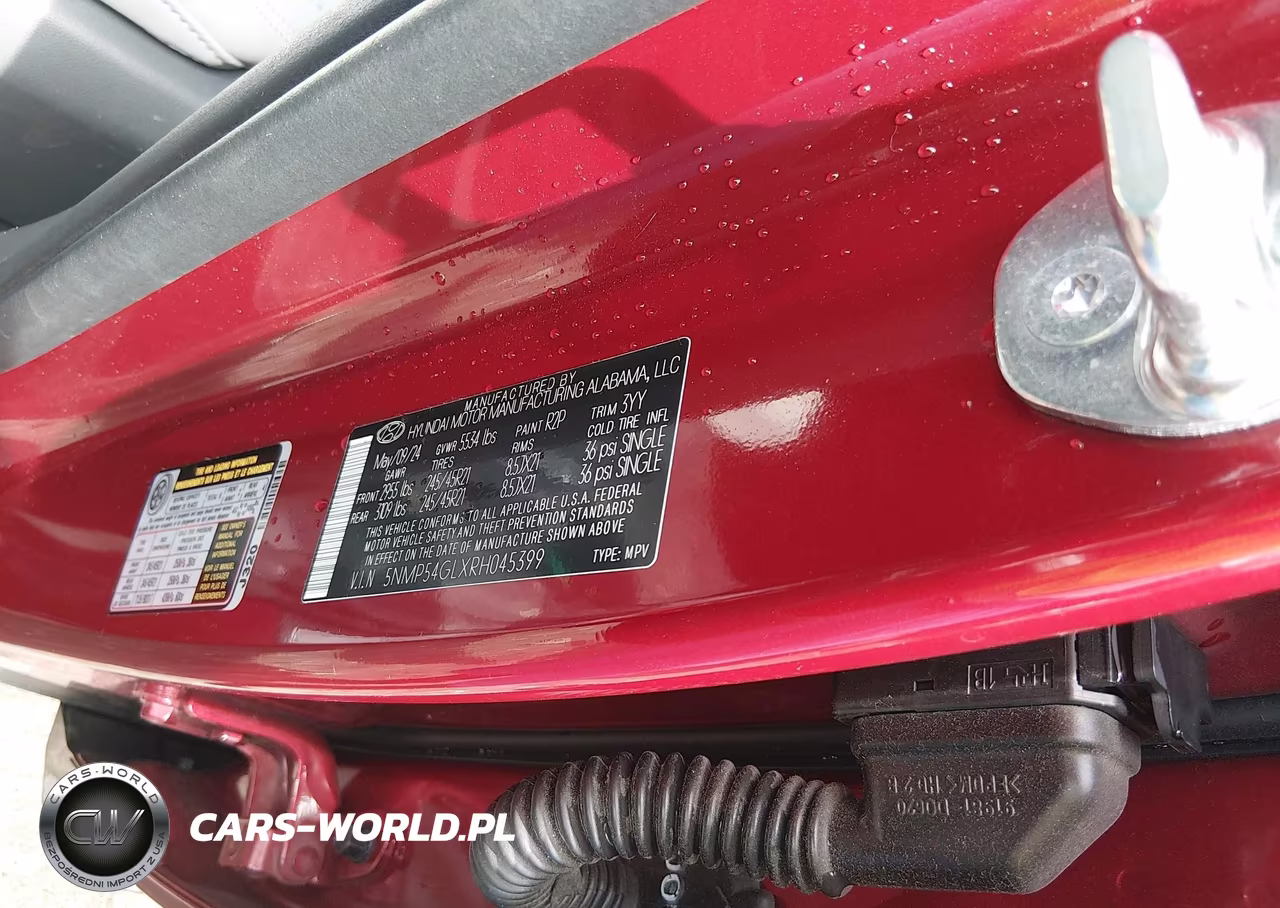 2024 Hyundai Santa Fe Calligraphy VIN:5NMP54GLXRH045399 - 9