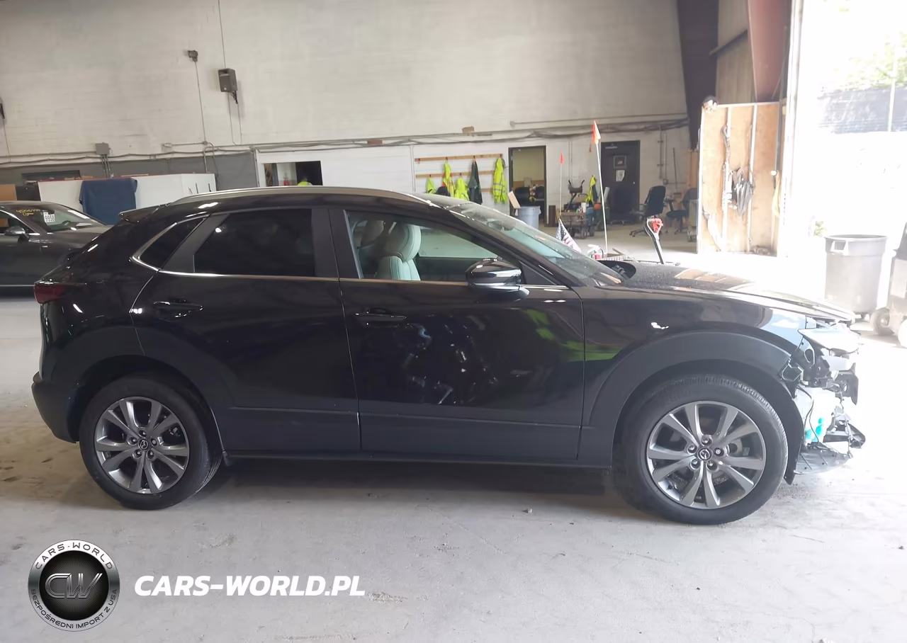 2024 Mazda Cx-30 2.5 S Preferred Package VIN:3MVDMBCM4RM710818 - 13