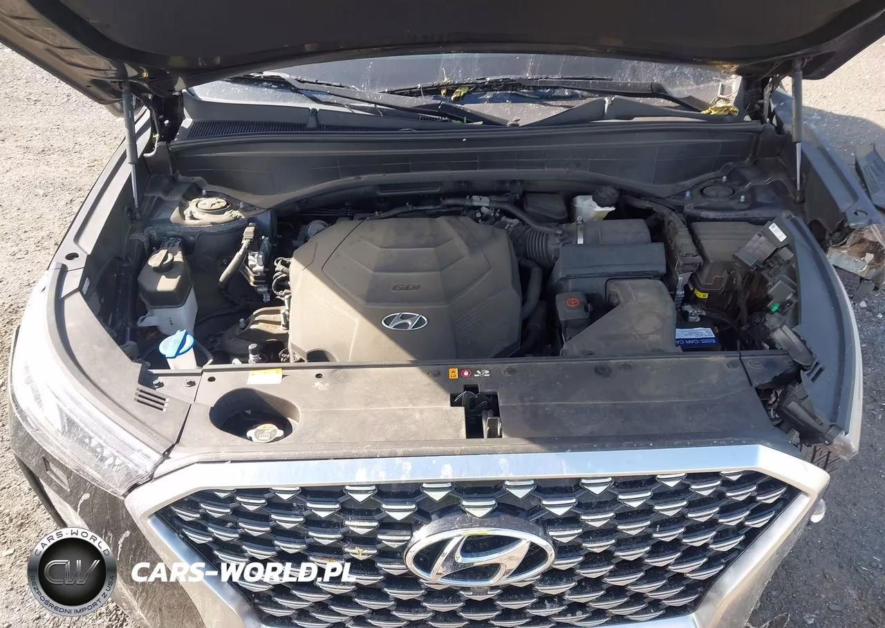2021 Hyundai Palisade Calligraphy VIN:KM8R7DHEXMU180012 - 10