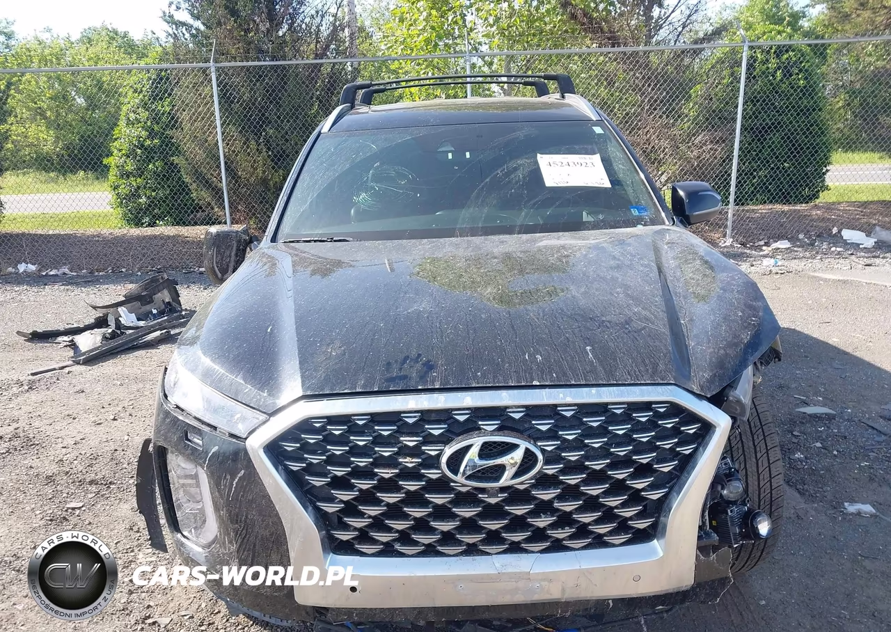 2021 Hyundai Palisade Calligraphy VIN:KM8R7DHEXMU180012 - 13