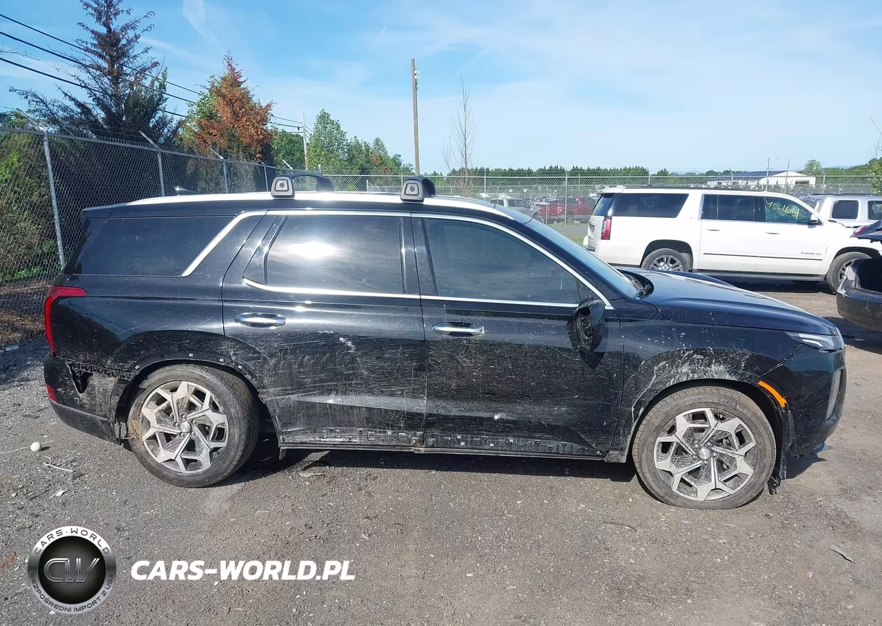 2021 Hyundai Palisade Calligraphy VIN:KM8R7DHEXMU180012 - 14