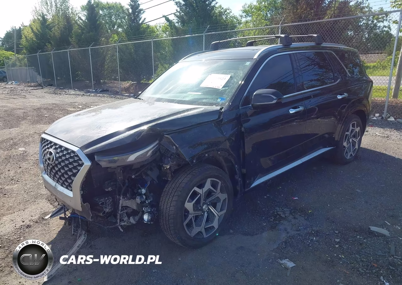2021 Hyundai Palisade Calligraphy VIN:KM8R7DHEXMU180012 - 2