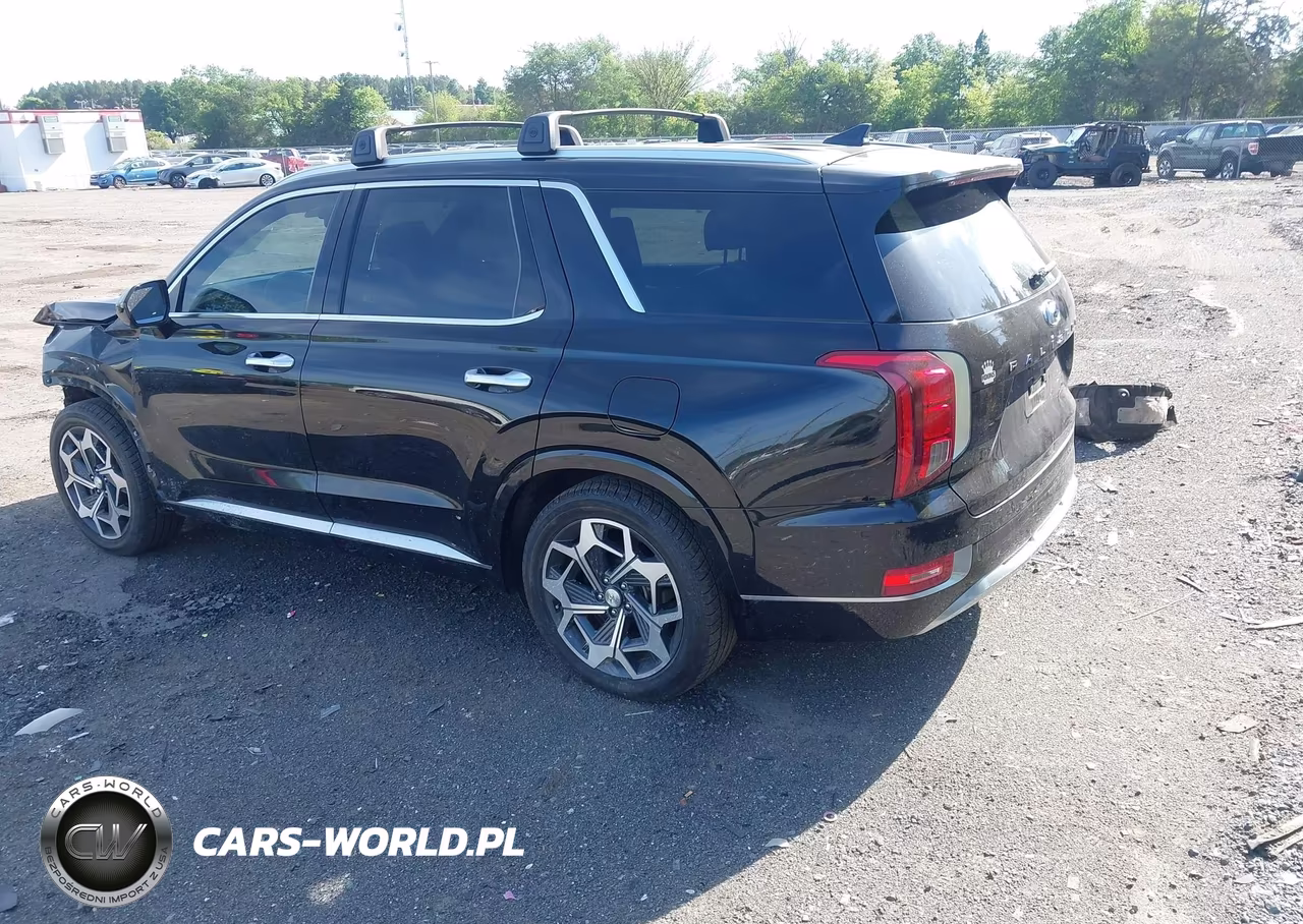 2021 Hyundai Palisade Calligraphy VIN:KM8R7DHEXMU180012 - 3