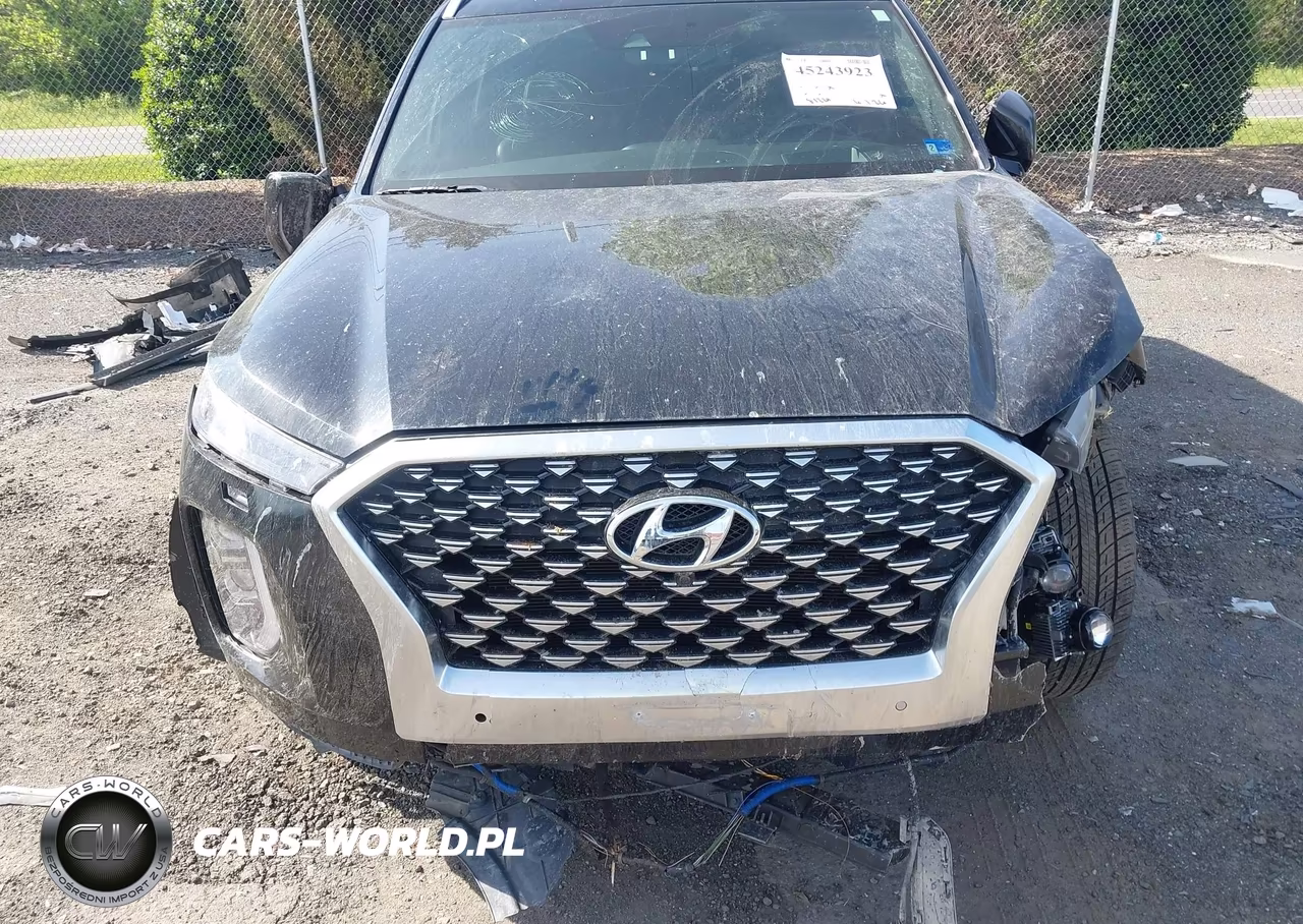 2021 Hyundai Palisade Calligraphy VIN:KM8R7DHEXMU180012 - 6