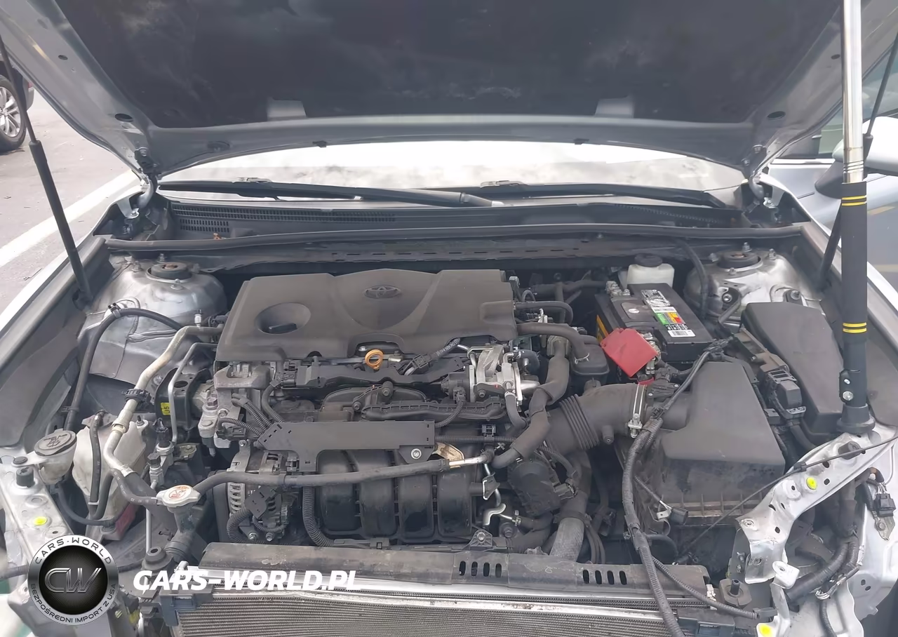 2019 Toyota Camry Se VIN:4T1B11HK3KU766264 - 10