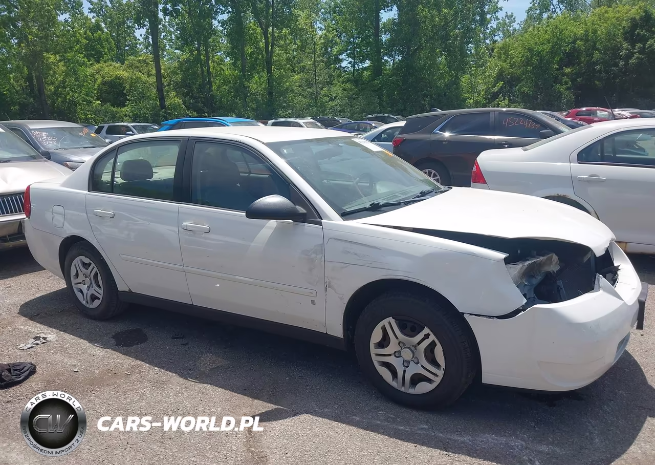 2006 Chevrolet Malibu Ls VIN:1G1ZS51F76F287496 - 13