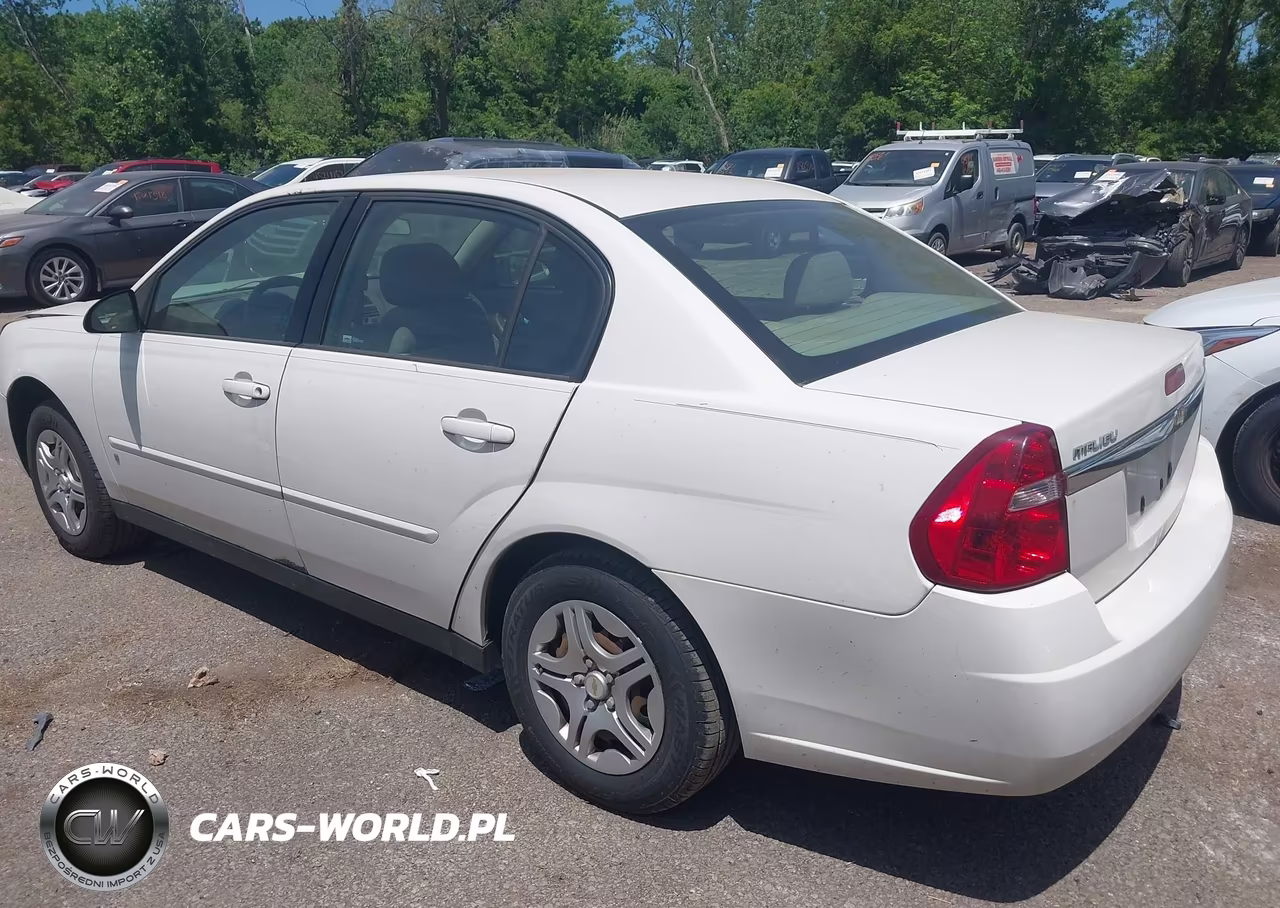 2006 Chevrolet Malibu Ls VIN:1G1ZS51F76F287496 - 14