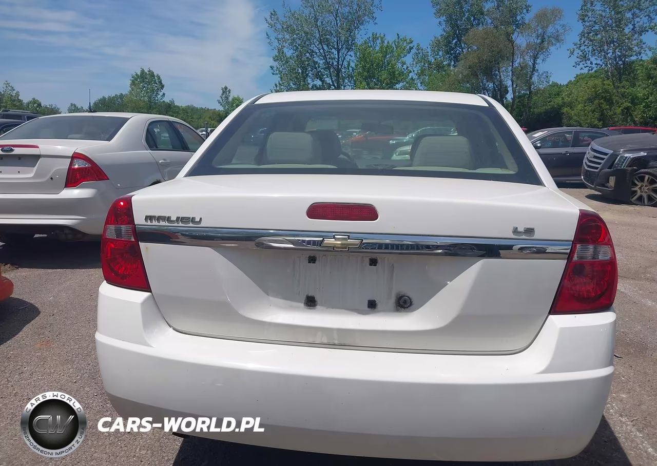 2006 Chevrolet Malibu Ls VIN:1G1ZS51F76F287496 - 16