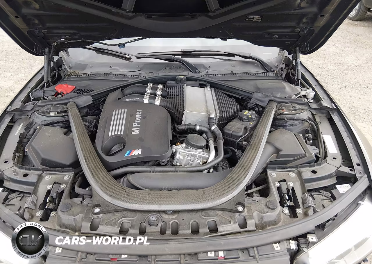 2015 BMW M4 VIN:WBS3R9C58FK331185 - 10