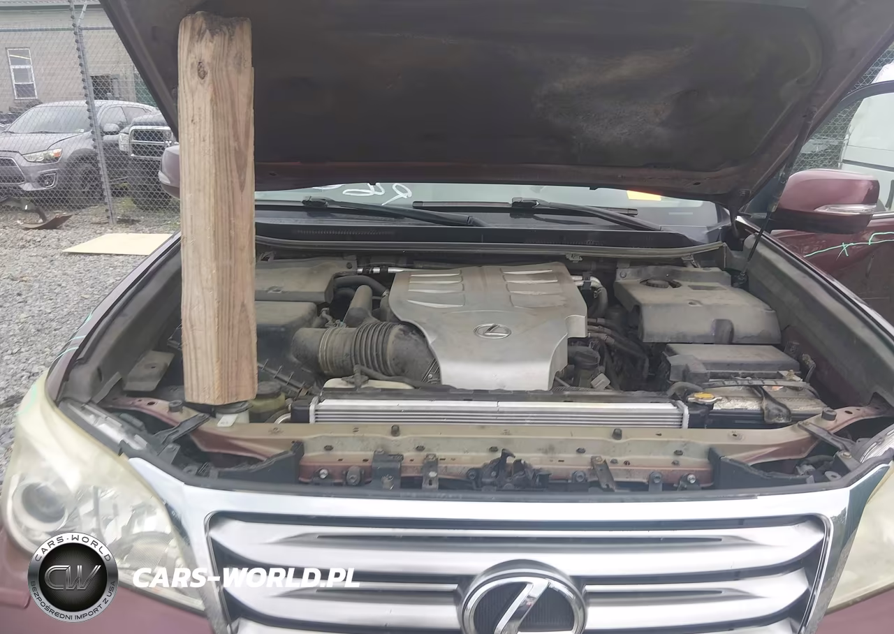 2010 Lexus Gx 460 Premium VIN:JTJJM7FX1A5008891 - 10