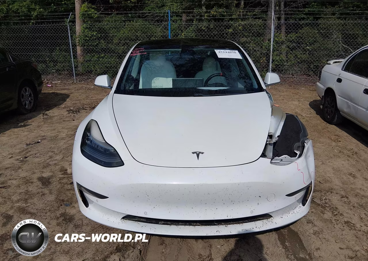 2019 Tesla Model 3 Long Range-Performance VIN:5YJ3E1EB4KF469949 - 12