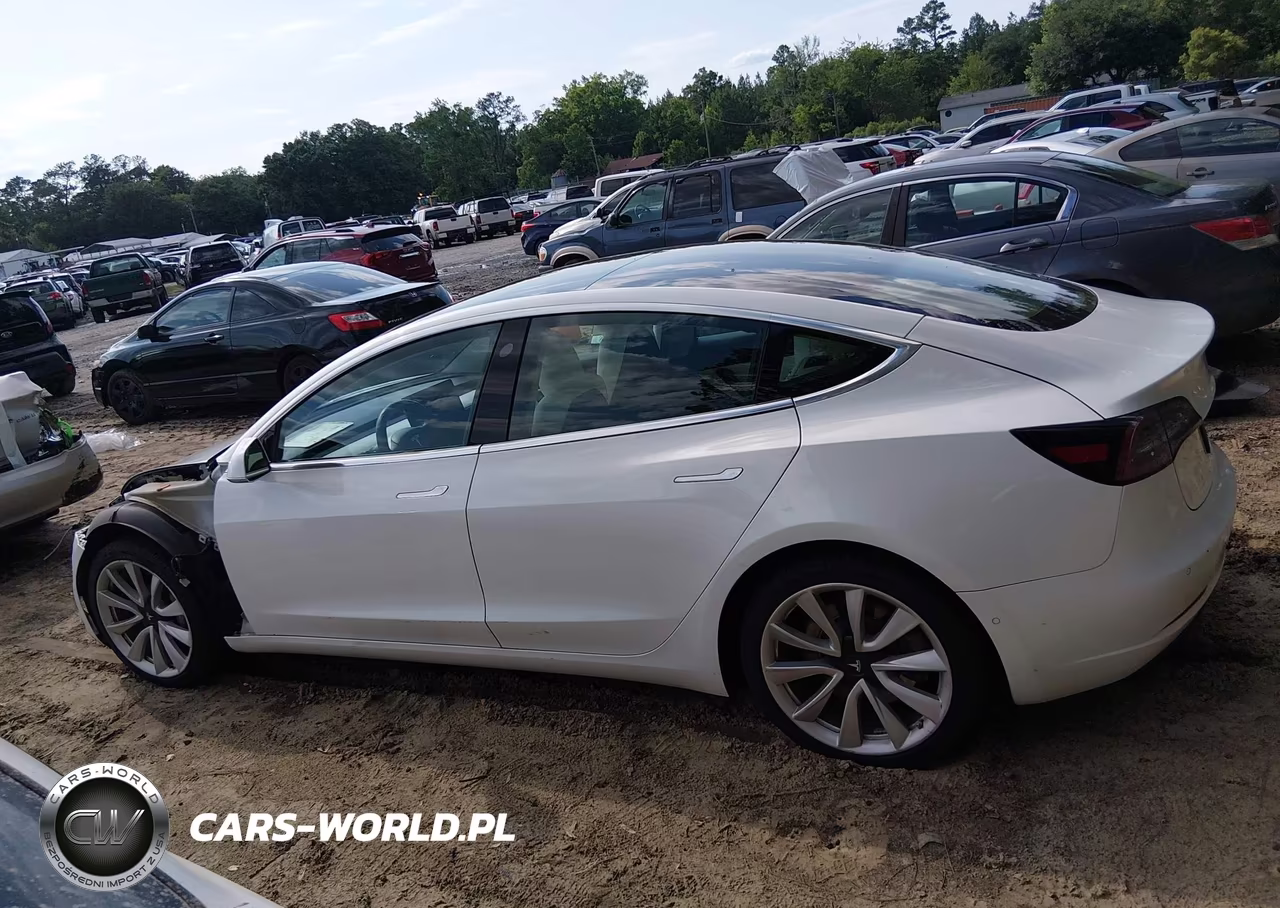 2019 Tesla Model 3 Long Range-Performance VIN:5YJ3E1EB4KF469949 - 14