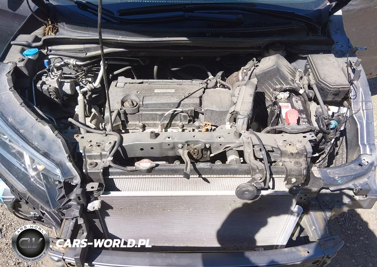 2016 Honda Cr-V Lx VIN:2HKRM4H37GH695995 - 10