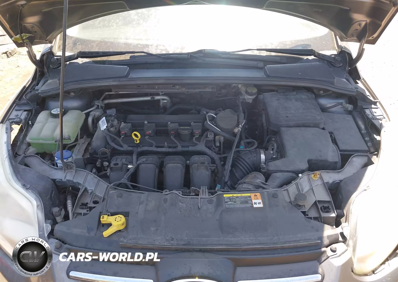 2013 Ford Focus Se VIN:1FADP3F27DL351019 - 10